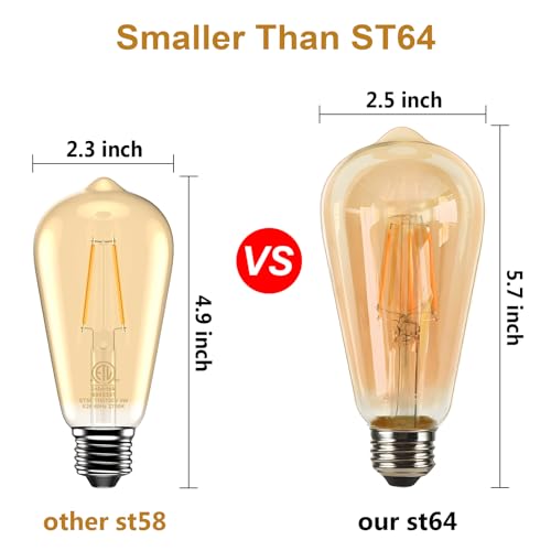 Edison Bulb ST58
