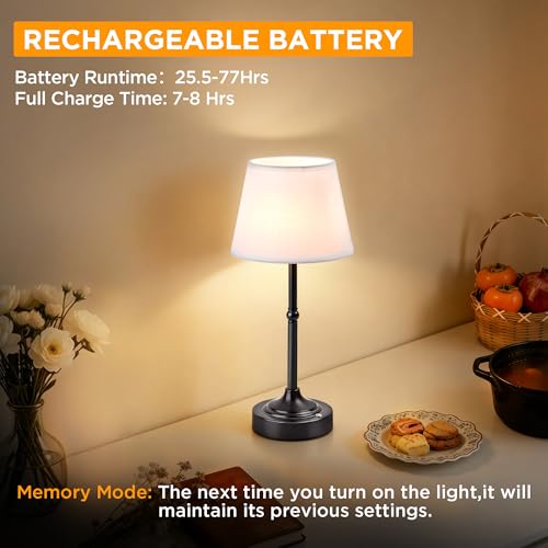2 Pack Cordless Table Lamp (2 Count)