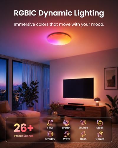RGBICWW Ceiling Light 15 Inch (15 Inch)