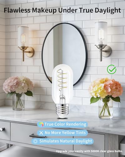 T45 Daylight Edison Bulbs (4 Count)