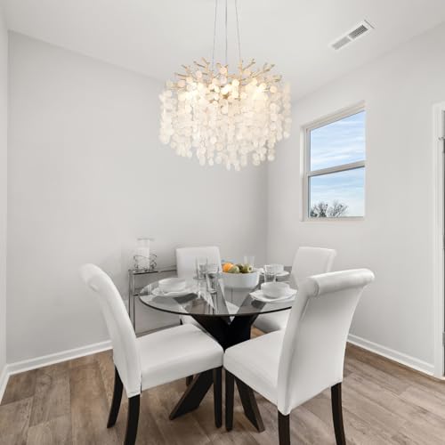 18 Inch Coastal Chandelier 6