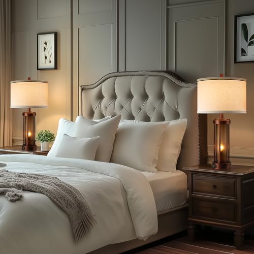 Set of 2 Farmhouse Table Lamps for Living Room with 2 USB Ports (2 Count)