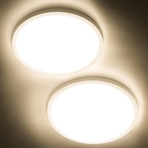 2 Pack 12" LED Flush Mount Ceiling Light 3000K (2 Count)
