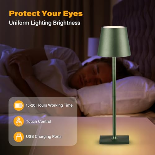 2 Pack Cordless Table Lamps