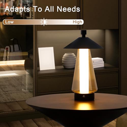 Set of 2 Stepless Dimmable Bedside Lamp 12" H LED Touch Table Lamp Chrome Lamp with Grey Anodized Glass lampshade for Bedroom Living Room Indoors Outdoors（Black (2 Count)