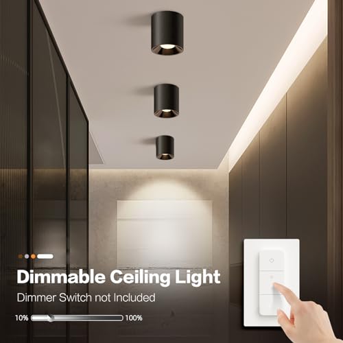 Modern LED Ceiling Light Fixture Flush Mount COB 20W 4000K Cylinder Ceiling Lights