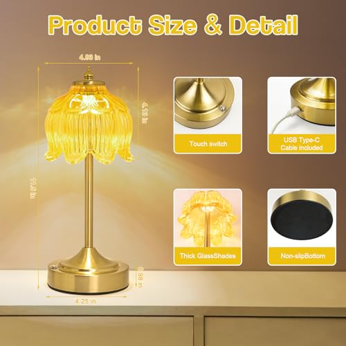 Cordless Table Lamp