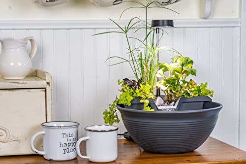 AquaGarden Tabletop Fountain Kit