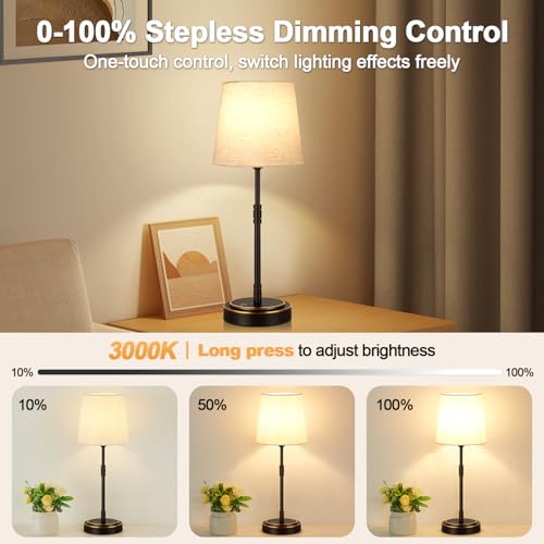 Cordless Table Lamps Set of 2 (2 Count)
