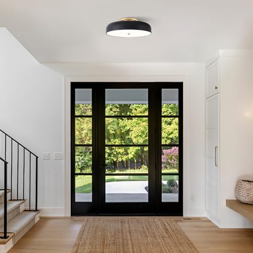 Dimmable LED Ceiling Light Fixture