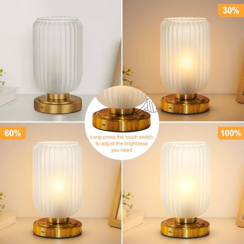 Cordless Table Lamp for Bedroom
