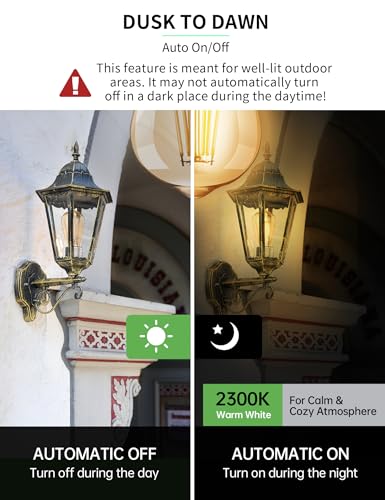 Dusk to Dawn Light Bulbs (6 Count)