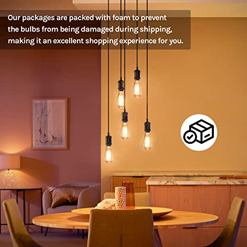 60 Watt Incandescent Edison Light Bulbs (4 Count)