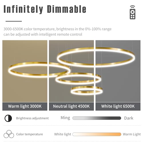 Modern Ceiling Chandelier Light