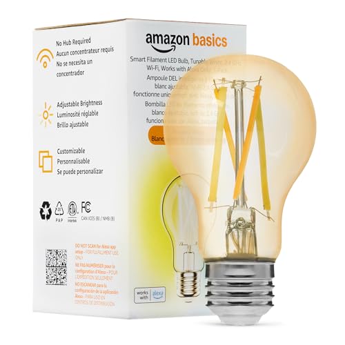 A19 Smart Filament LED Bulb