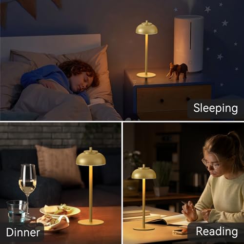 Cordless Table Lamps (2 Count)