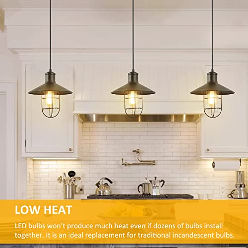 Dimmable Vintage LED Edison Bulbs 60W Equivalent 6W 850 Lumens (12 Count)