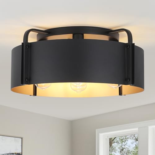 Flush Mount Ceiling Light