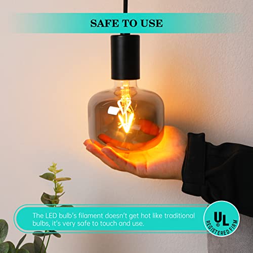 Large Edison Bulbs E26 LED