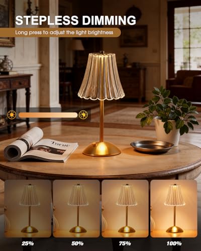 2 Pack Rechargeable Cordless Table Lamp (2 Count)