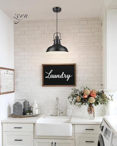 1 Light Industrial Pendant Light