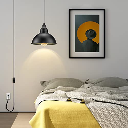 Plug in Pendant Light