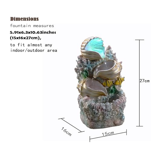 Coral Shell Water Fountain