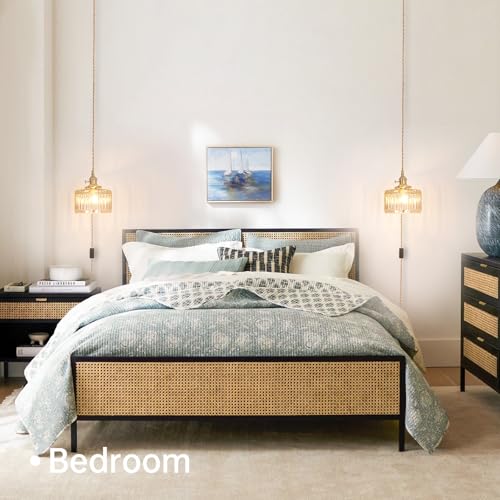 Plug in Pendant Light Hanging Light Fixtures with Plugin Cord On