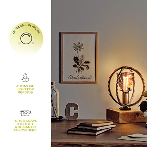 Decorative Light Bulb Eq 20W ICE Style Shaped E26 Led Bulb Medium Base