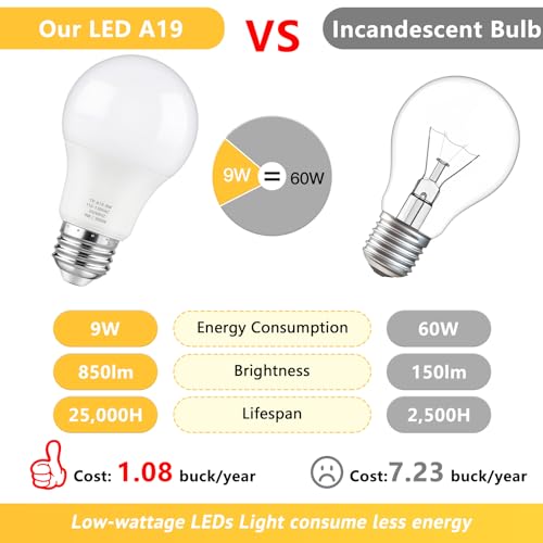 A19 LED Light Bulbs (4 Count)