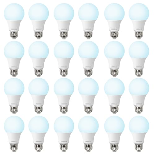 24 Pack A19 LED Light Bulbs 60W Equivalent (24 Count)