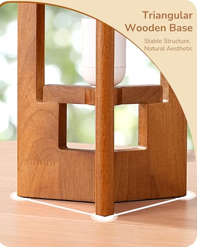 13.5" Table Lamp (2 Count)