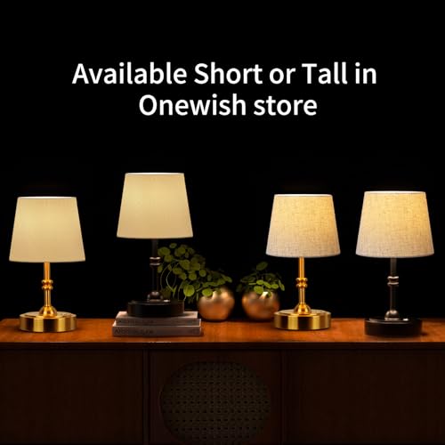 Small Cordless Lamp