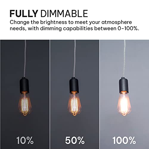 Vintage Edison LED Light Bulbs (6 Count)