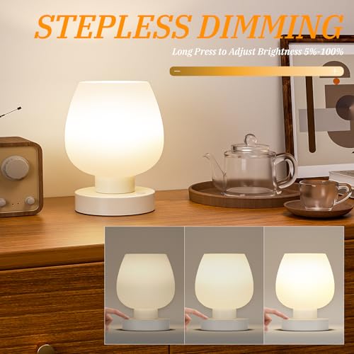 Cordless Touch Table Lamp for Nightstand