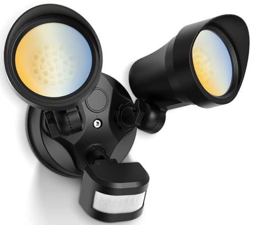Motion Sensor Outdoor Lights