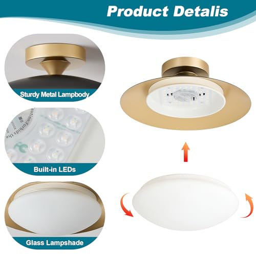 Dimmable Modern LED Black and Gold Ceiling Light Fixture 11.81 in