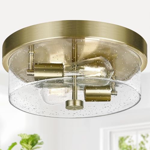 Flush Mount Ceiling Light Fixtures