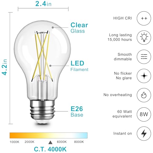 A19 LED Edison Light Bulb (12 Count)