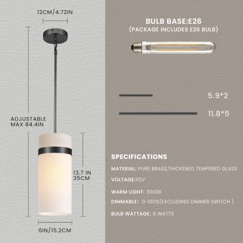 Hand Blown Frosted Glass Pendant Light