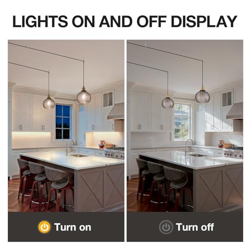 Modern Plug in Hanging Light