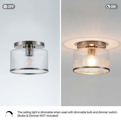 Glass Ceiling Light