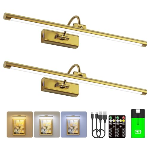 24" Brass Picture Art Light with 1pcs Extra 8000mAh Battery (2 Count)