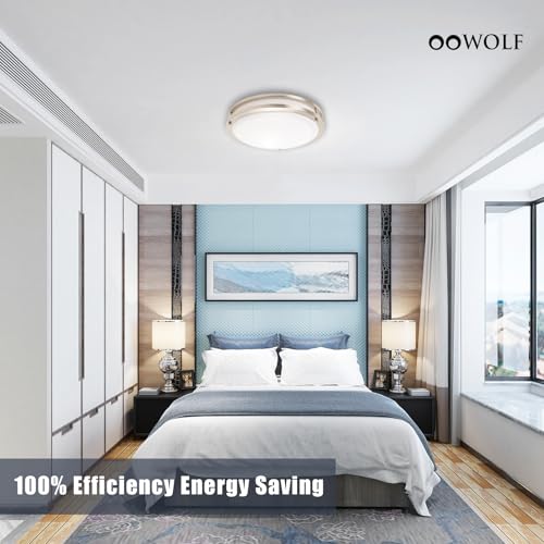 12inch LED Flush Mount Ceiling Light Fixture Dimmable Brushed Nickel (2 Count)