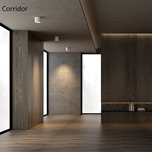 Ceiling Light Fixture
