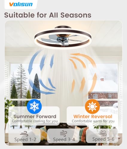 Low Profile Ceiling Fans with Lights and Remote