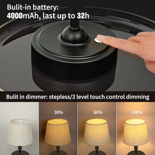 Small Cordless Lamp