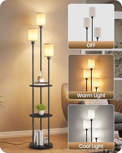 Floor Lamp with Shelves