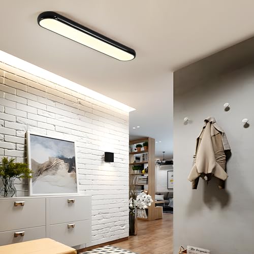 Modern LED Ceiling Light
