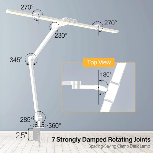 Architect Desk Lamp with Clamp